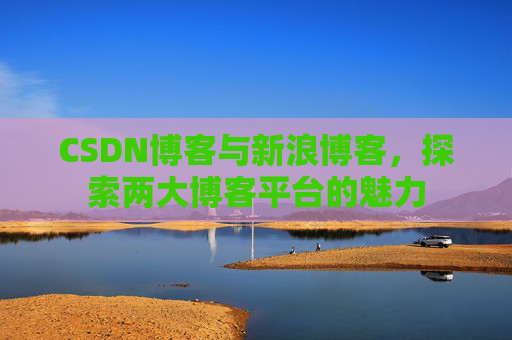 CSDN博客与新浪博客，探索两大博客平台的魅力